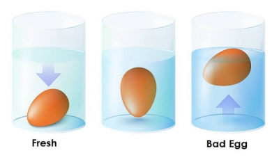 5 طرق لتعرف ما إذا كانت البيضة صالحة للأكل أم فاسدة