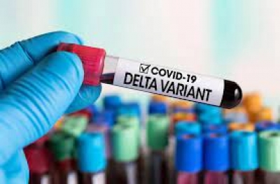 دراسة بريطانية تظهر تراجع كفاءة اللقاحات أمام سلالة دلتا
